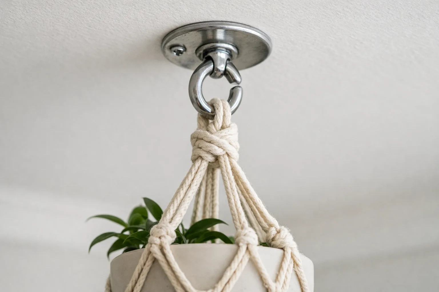 Le crochet d’une suspension en macramé est fixé au plafond au-dessus d’un pot.